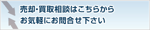 �[���G���A�̔��p����敨�����W