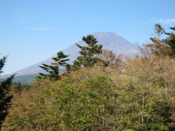 【十里木高原】 十里木高原別荘地 あしたか地区 2丁目