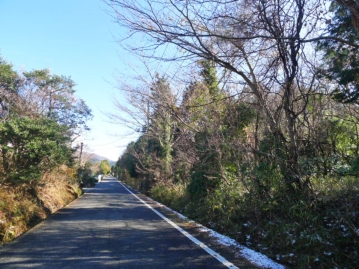 【仙石原】 仙石高原別荘地