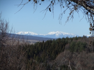 【山中湖】 ダイアパレス山中湖第2