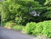 【伊豆高原】 伊豆高原別荘地 28次