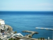 �y�M�C�z �M�C�V�e�B���B���猩��