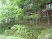 【軽井沢】 旧軽井沢・愛宕山