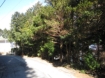 箱根小涌園・緑の村