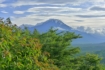 【山中湖】 レイク山中 平野台