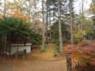【軽井沢】 鶴溜別荘地