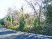 【仙石原】 仙石高原別荘地