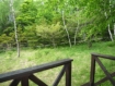 【軽井沢】 三井の森別荘地