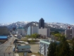 �y�⌴�z �V���[���䂴��