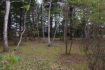 【軽井沢】 中軽井沢