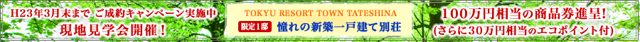 憧れの新築一戸建て別荘