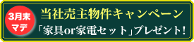 ���Д��啨��
