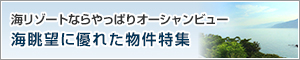 海の眺望に優れた物件特集