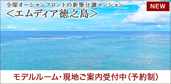 エムディア徳之島
