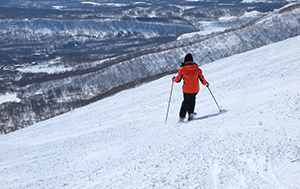 Niseko / Other Hokkaido