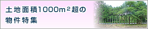 土地面積1000㎡超の物件特集