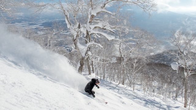 WINTER