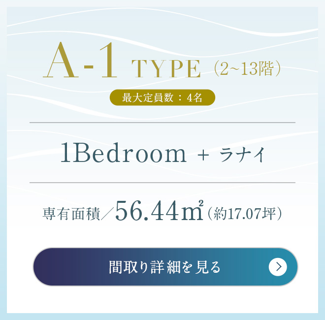 A-1タイプボタン画像