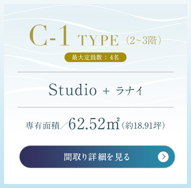 C-1タイプボタン画像