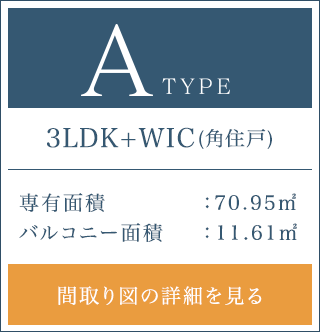 Aタイプボタン画像