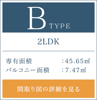 Bタイプボタン画像