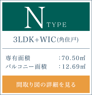 Nタイプボタン画像