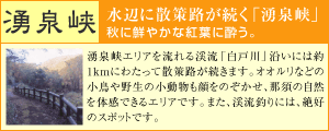 湧泉峡