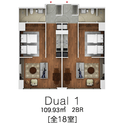 Dual01@[S18]   109.93u@2BR