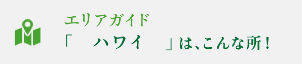 エリアガイドハワイはこんな所！