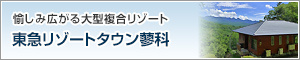 東急リゾートタウン蓼科